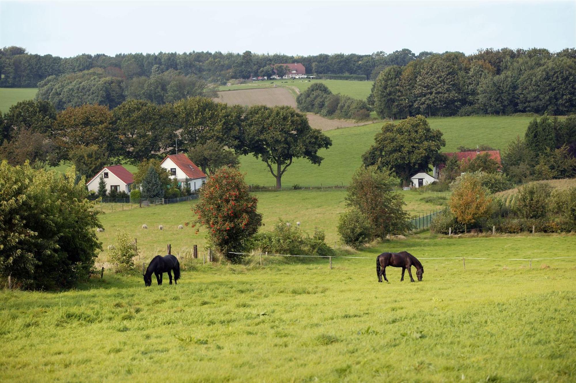 Hotel & Appartementen - De Zeven Heuvelen Berg en Dal Exteriör bild